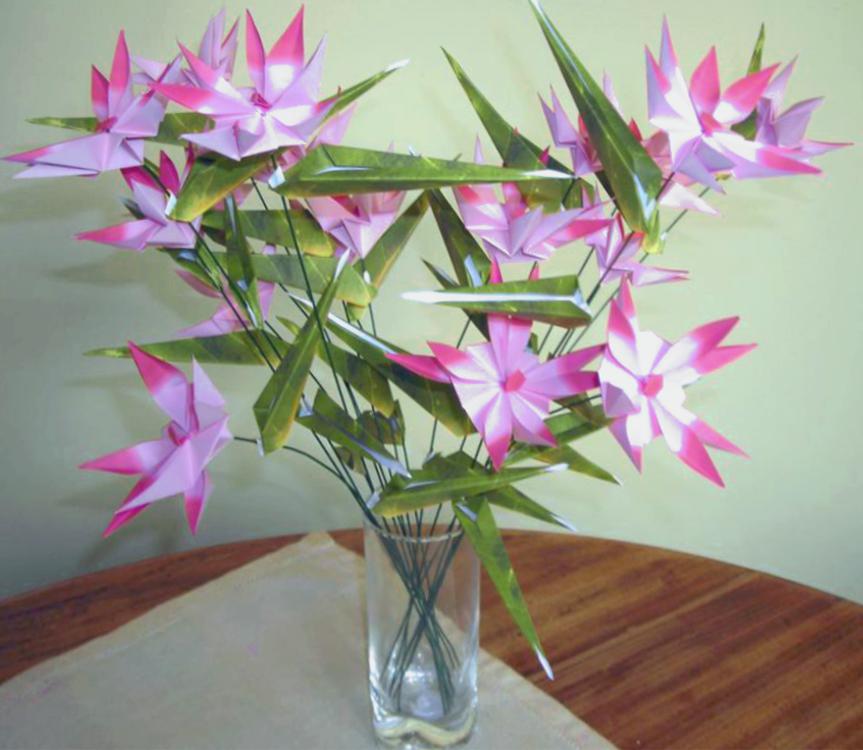 Star Shaped Origami Flowers Star Shaped Origami Flowers