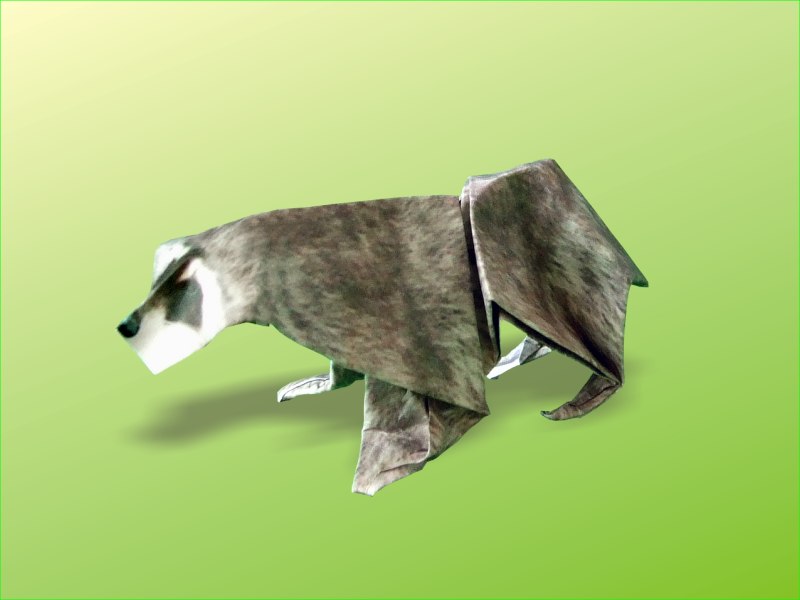 Origami Raccoon