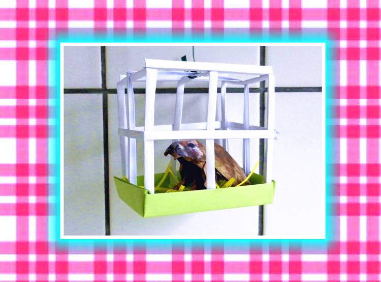 Kirigami Mini Pet Cage