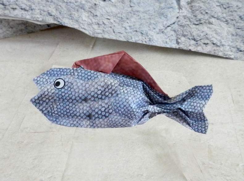 Origami Vis Origami Vis