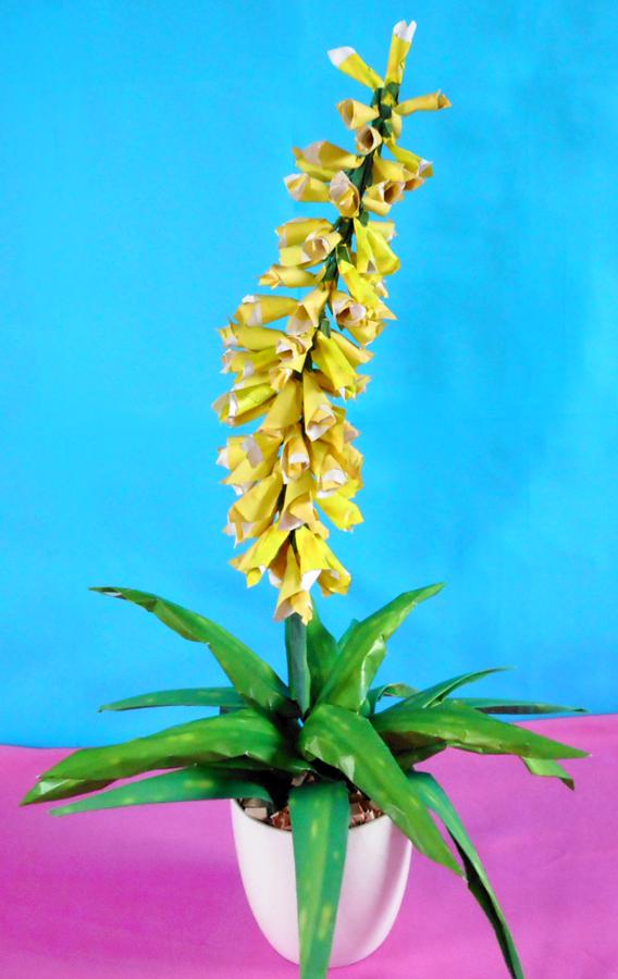 Origami Aloe Vera