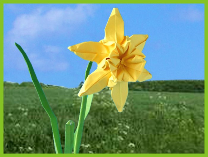 origami narcis origami narcis