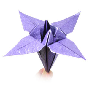 Origami iris