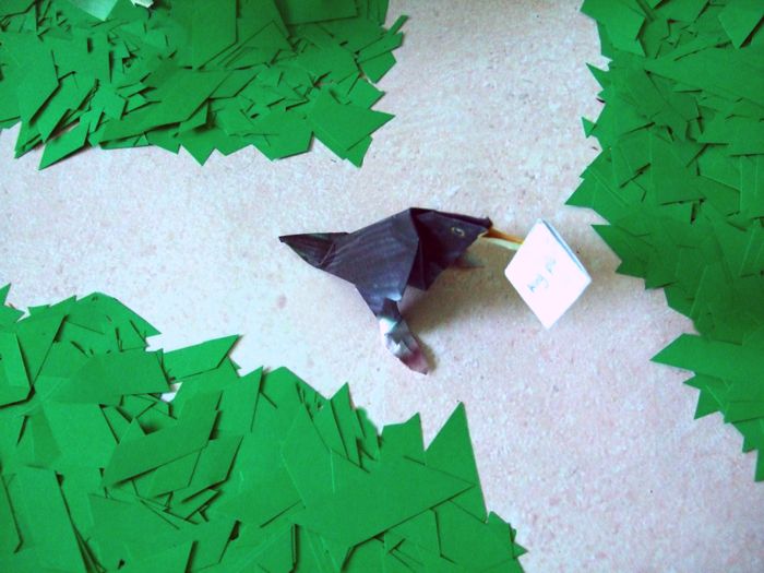 leuke vogel op een bospad