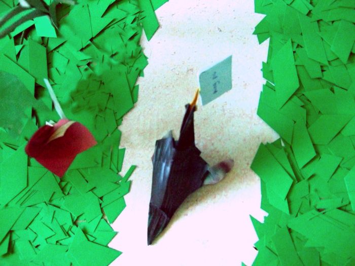 vogeltje op een bospad vogeltje op een bospad