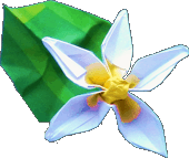 Origami Flower