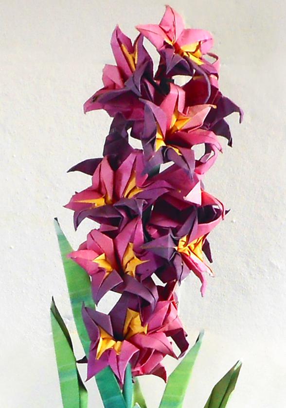 Origami Hyacinth