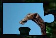 puzzelstukje van een puzzel met een olifant puzzelstukje van een puzzel met een olifant