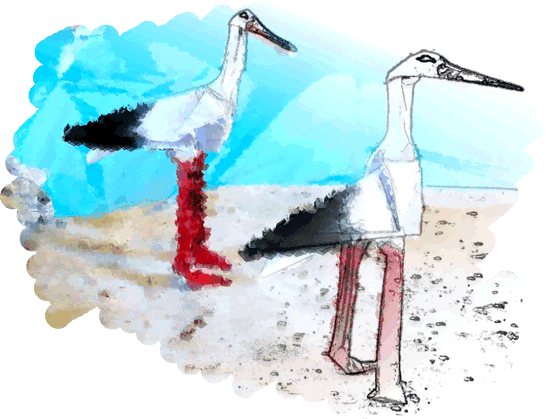 Storks coloring page Storks coloring page