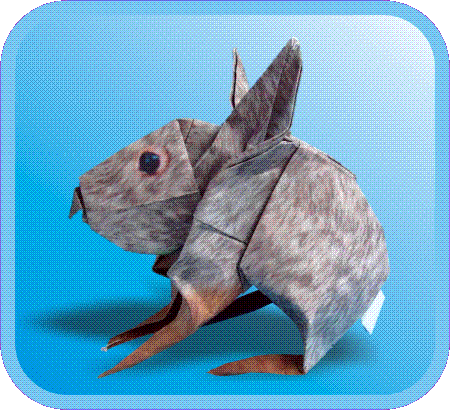 Origami dieren vouwen Origami konijn
