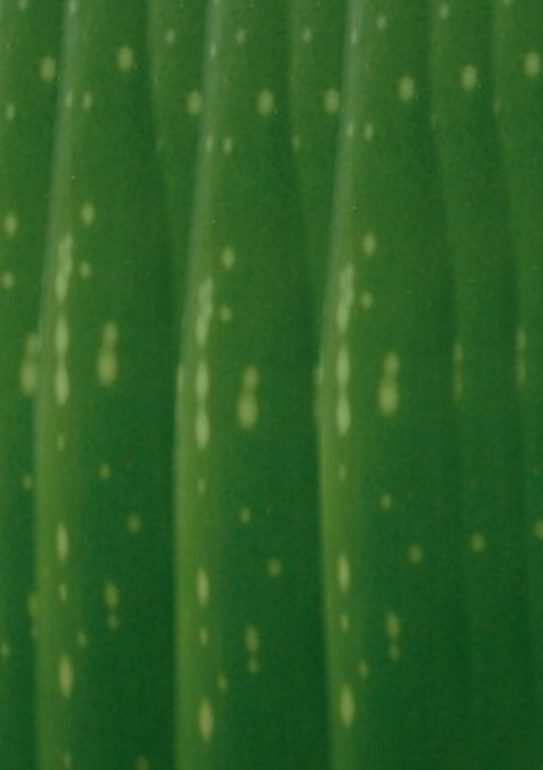 stukje papier om de steel van een aloe vera te maken
