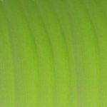 groen vouwpapier voor de bladeren van een azalea