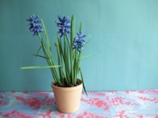 gekleurde vouwblaadjes om een blauw druifje van papier te maken gekleurde vouwblaadjes om een blauw druifje van papier te maken