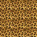 patroon voor een cheetah van papier
