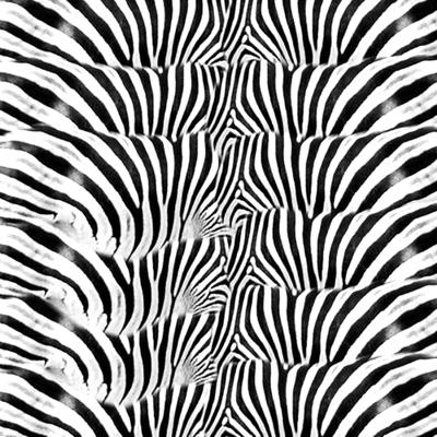 Origami Zebra Paper