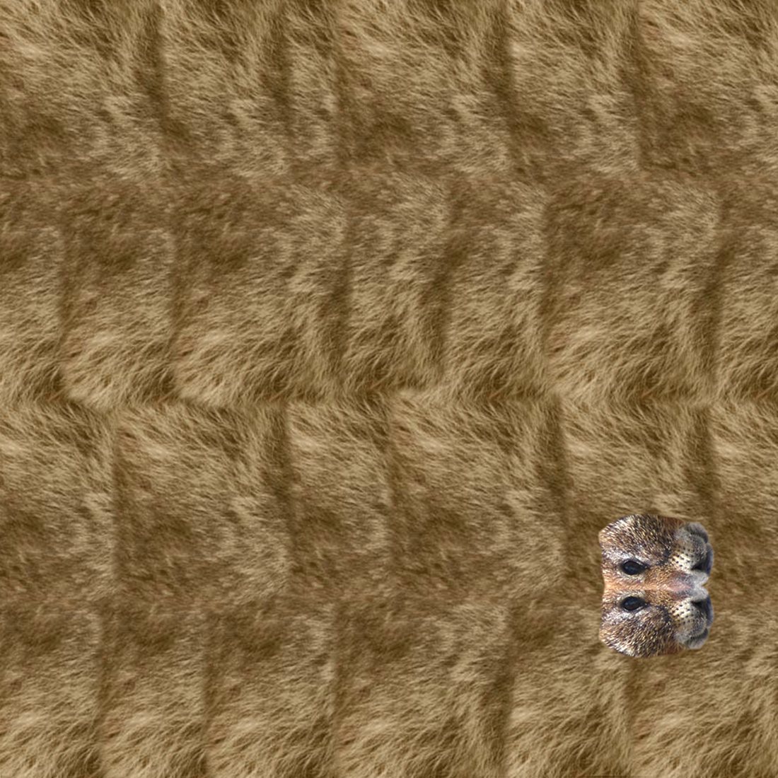 patterned paper for an origami marmot