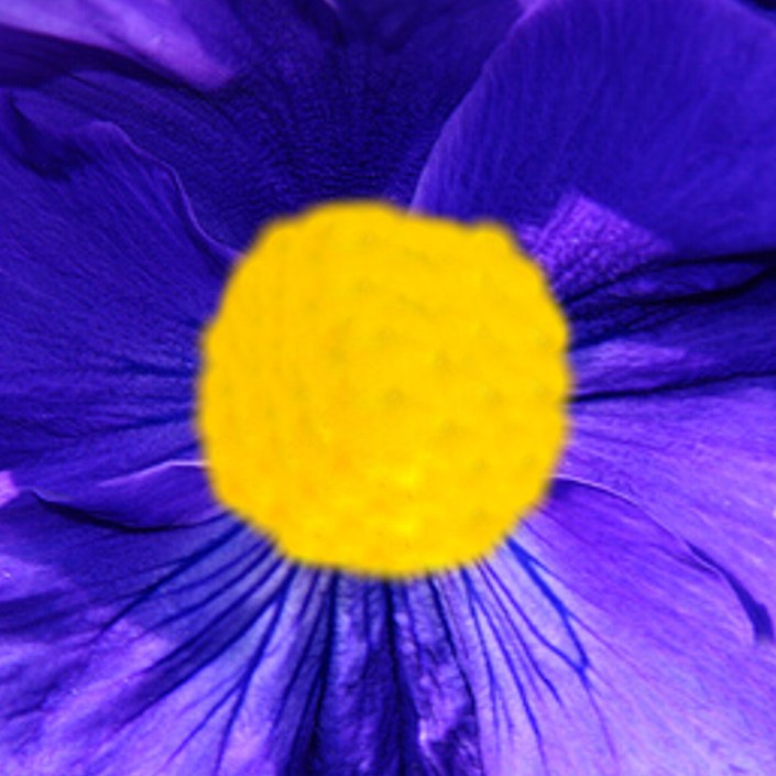 gekleurd motiefje voor een origami petunia