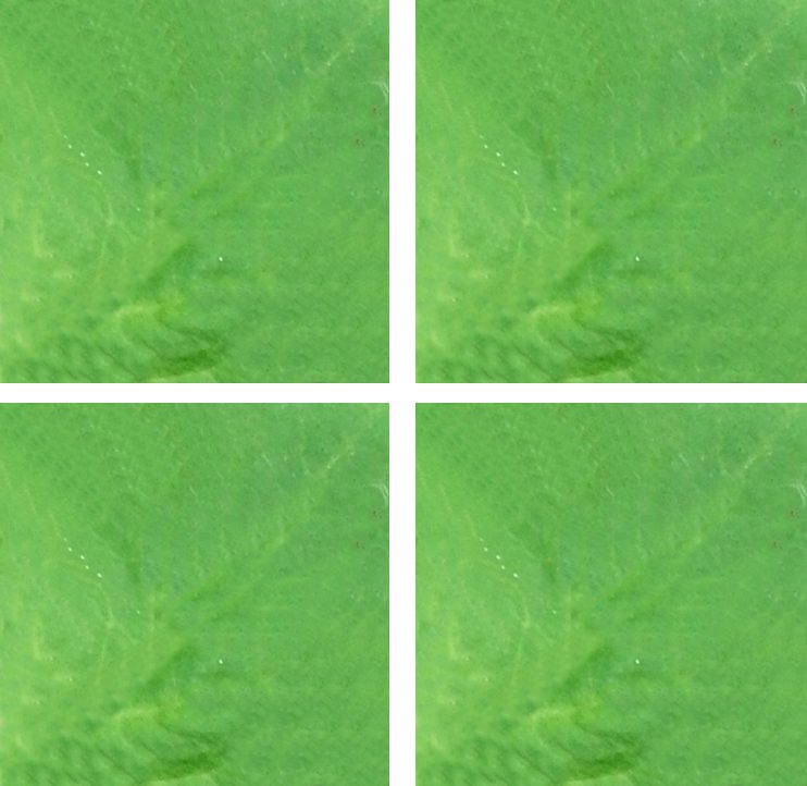 gekleurd motiefje voor de bladeren van een origami petunia