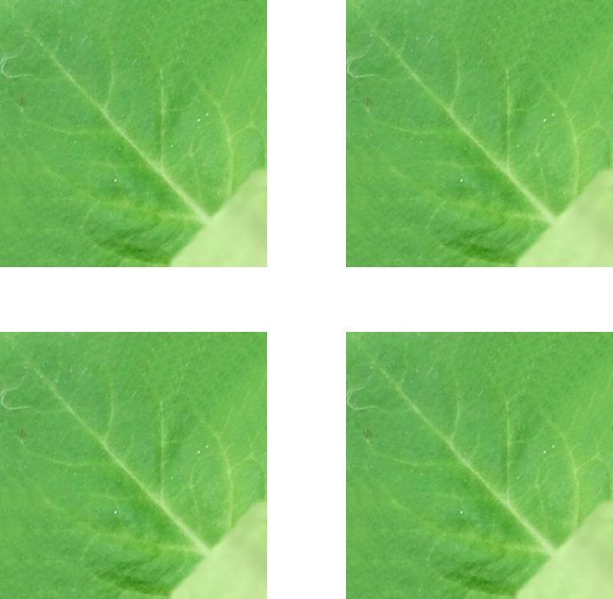 gekleurd motiefje voor de bladeren van een origami petunia