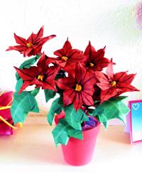 Origami Poinsettia