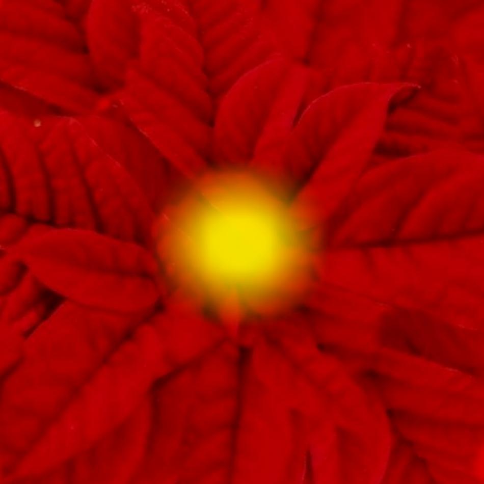 Vouwpapier voor een bloem