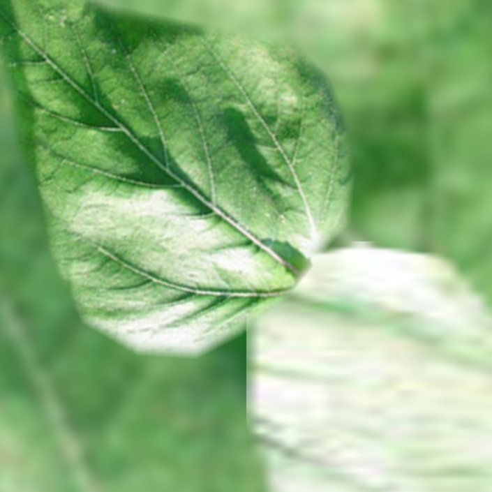 printable pattern for the leaf of an origami sunflower