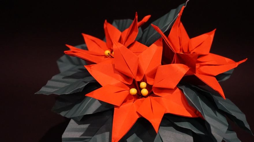 Origami Poinsettias