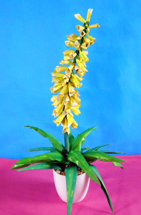 Origami Aloe Vera Origami Aloe Vera
