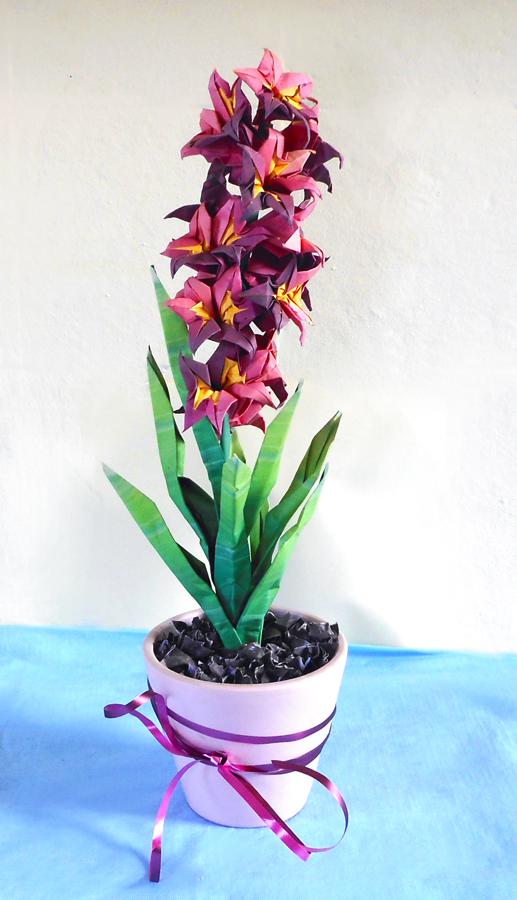 Origami Hyacinth