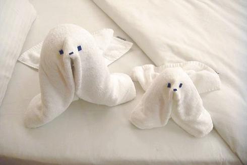 Zeehonden van handdoeken