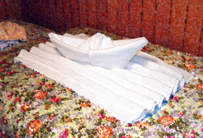 Towel Origami Boat