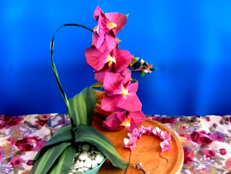 Bonsai Origami Bloemen