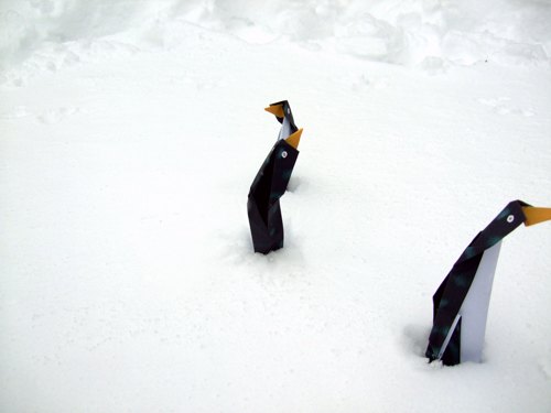 grappige pinguins die in de sneeuw staan te bibberen van de kou
