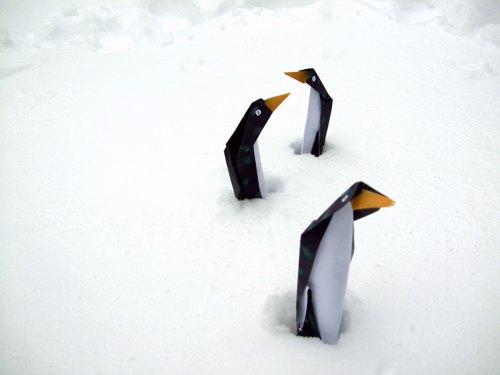 grappige pinguins die in de sneeuw staan te bibberen van de kou grappige pinguins die in de sneeuw staan te bibberen van de kou