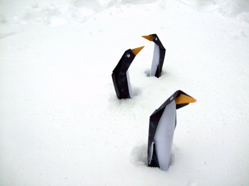 grappige pinguins die in de sneeuw staan te bibberen van de kou