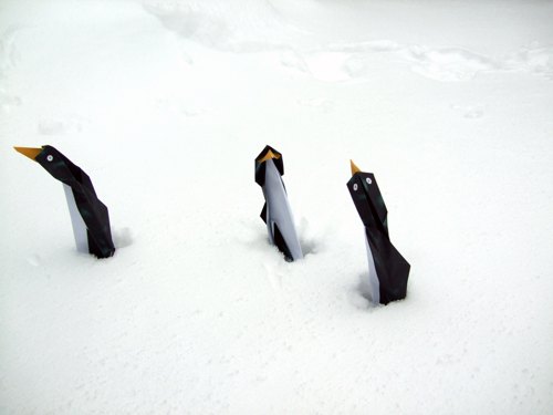 grappige pinguins die in de sneeuw staan te bibberen van de kou