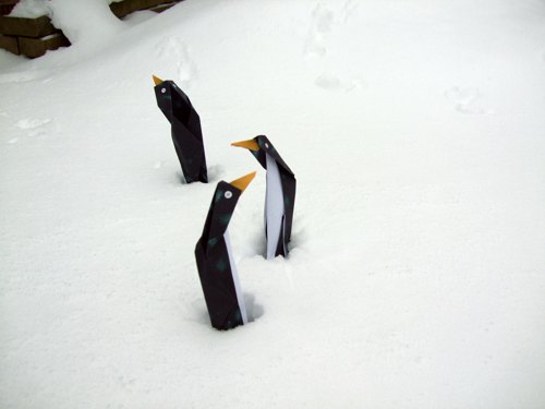 grappige pinguins die in de sneeuw staan te bibberen van de kou grappige pinguins die in de sneeuw staan te bibberen van de kou