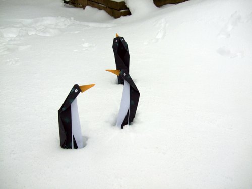 grappige pinguins die in de sneeuw staan te bibberen van de kou grappige pinguins die in de sneeuw staan te bibberen van de kou