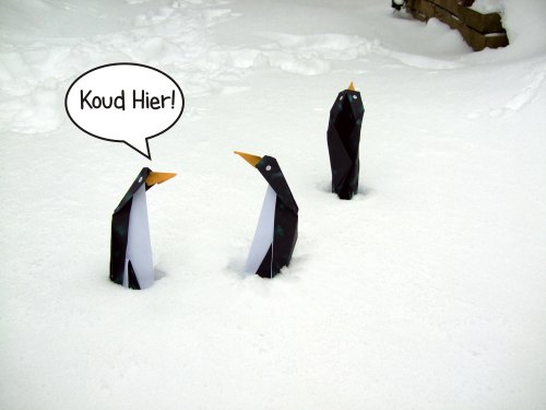grappige pinguins die in de sneeuw staan te bibberen van de kou grappige pinguins die in de sneeuw staan te bibberen van de kou