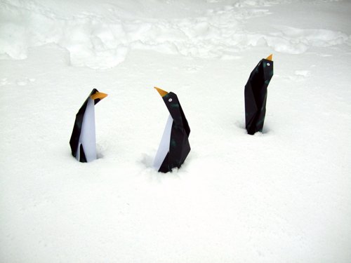grappige pinguins die in de sneeuw staan te bibberen van de kou grappige pinguins die in de sneeuw staan te bibberen van de kou