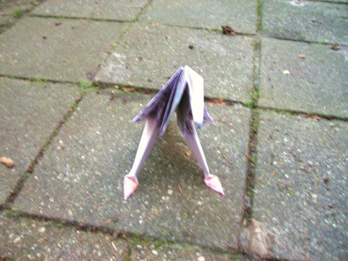 Virtual Pigeon