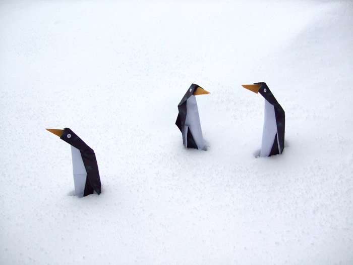 Origami Pinguins