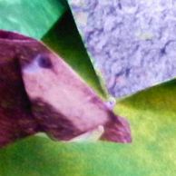origami wild boar avatar