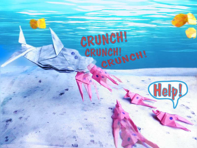 Origami shrimps