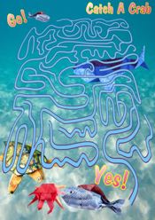 Catch a crab printable maze with a fish Catch a crab printable maze with a fish