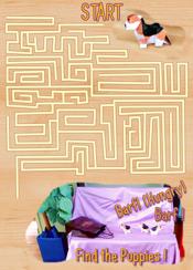 Find the puppy dogs in the maze Find the puppy dogs in the maze