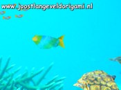 origami zeedieren screensaver