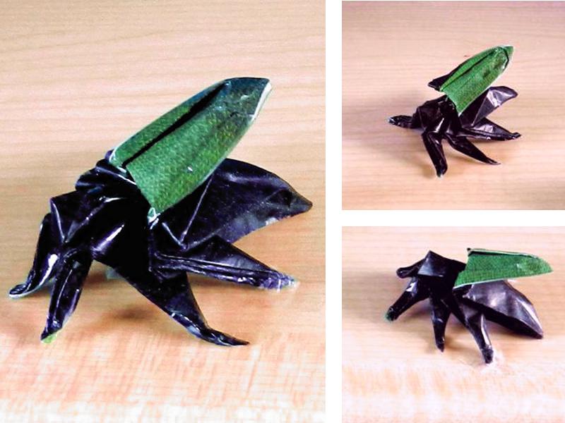 Origami Beetle
