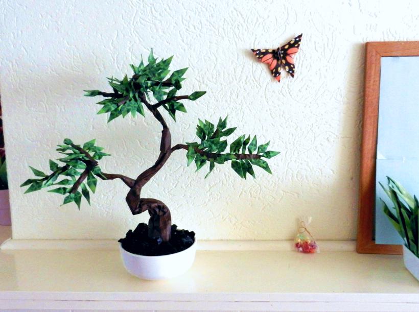 Bonsai Boompje