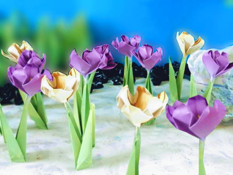 Origami Crocus Flowers